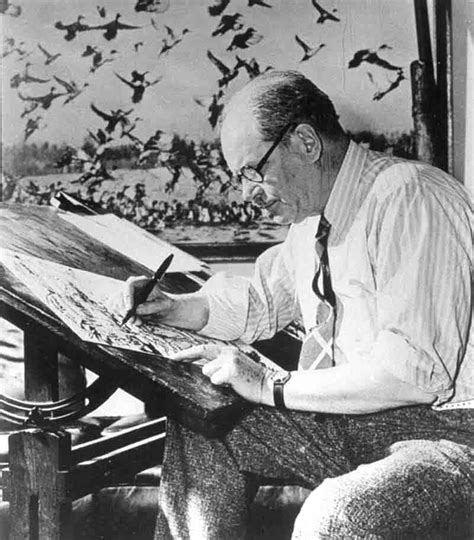 Ding darling - “Ding” Darling was a cartoonist turned conservationist. He drew the first Federal Duck Stamp and began the nation’s primary funding program for waterfowl management. He was the first National Wildlife Federation President and in 1934 he was appointed Chief of the U.S. Biological Survey and basically formed what would become the US Fish ...